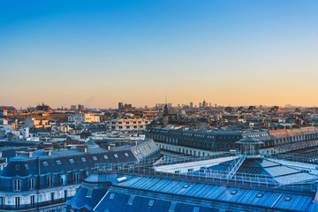 什么是生物的种和界?